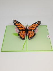 Butterfly Lovepop Greeting Card from Weidig's Floral in Chardon, OH