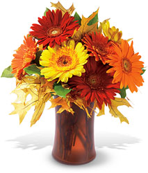Autumn Gerberas from Weidig's Floral in Chardon, OH