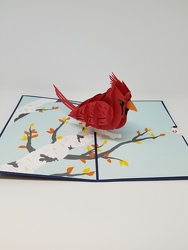 Cardinal Lovepop Greeting Card from Weidig's Floral in Chardon, OH