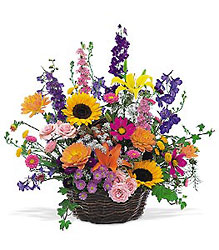 Summertime Sensation Basket from Weidig's Floral in Chardon, OH