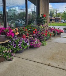 Annual Hanging Baskets from Weidig's Floral in Chardon, OH