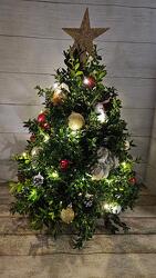 Boxwood Tree from Weidig's Floral in Chardon, OH